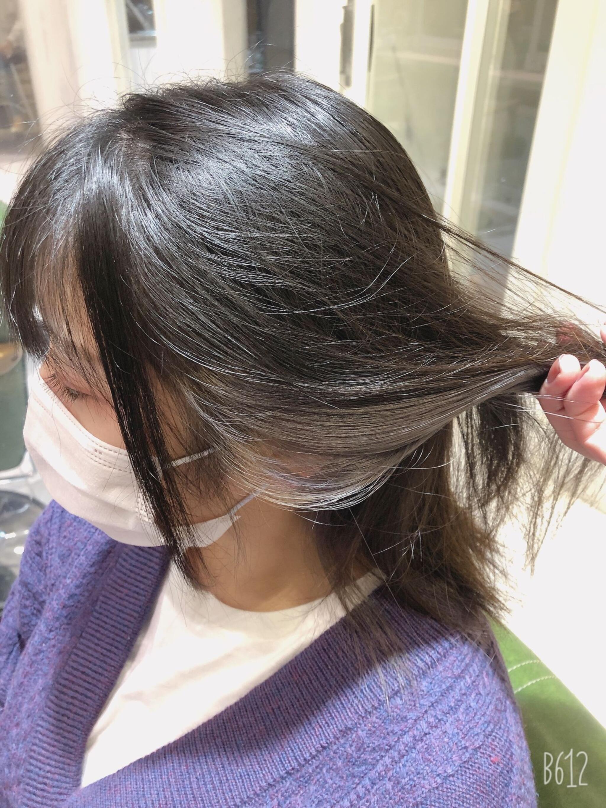 インナーカラー(シルバー)