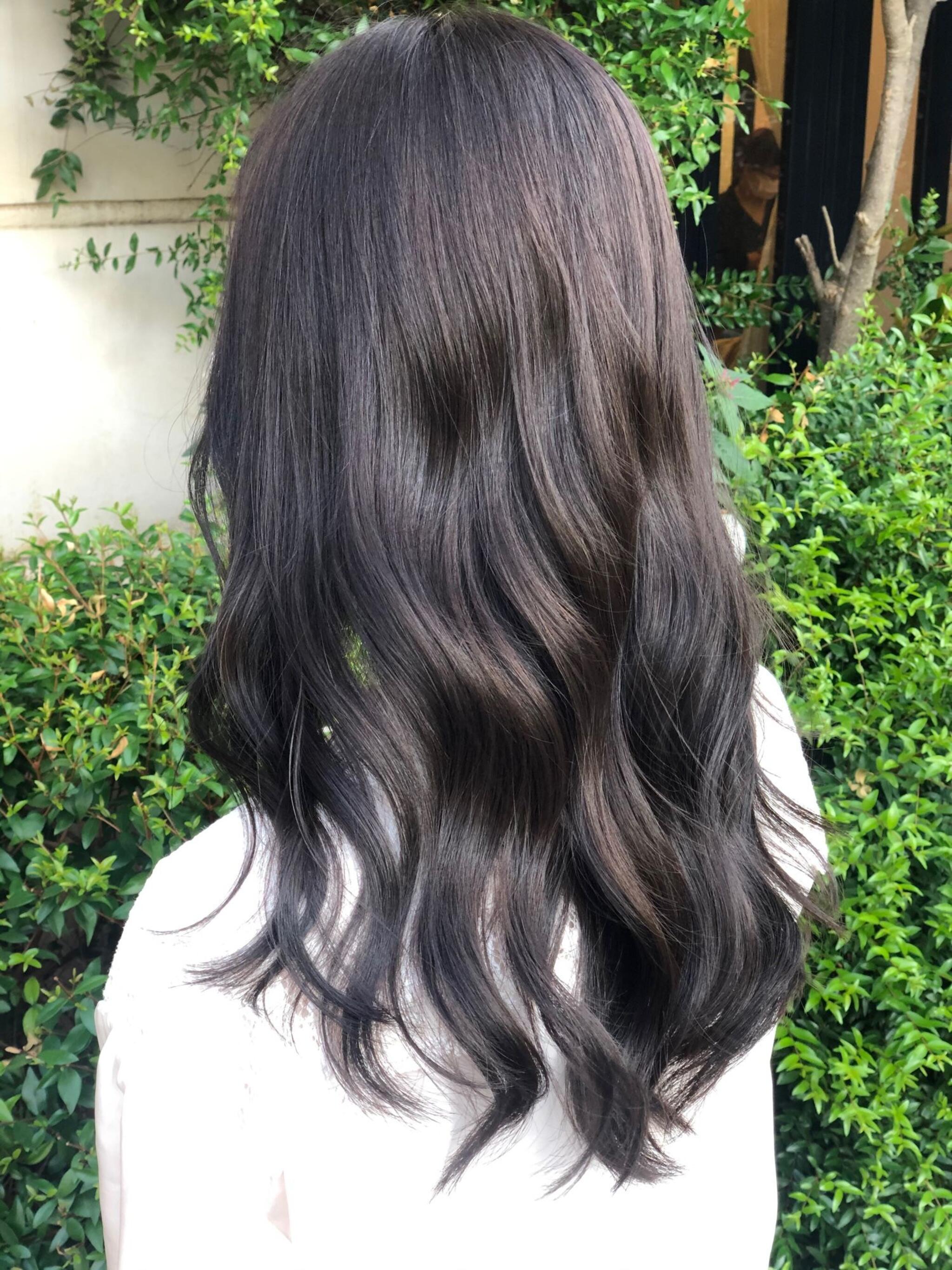 セミロング✂︎艶ラベンダーブラック