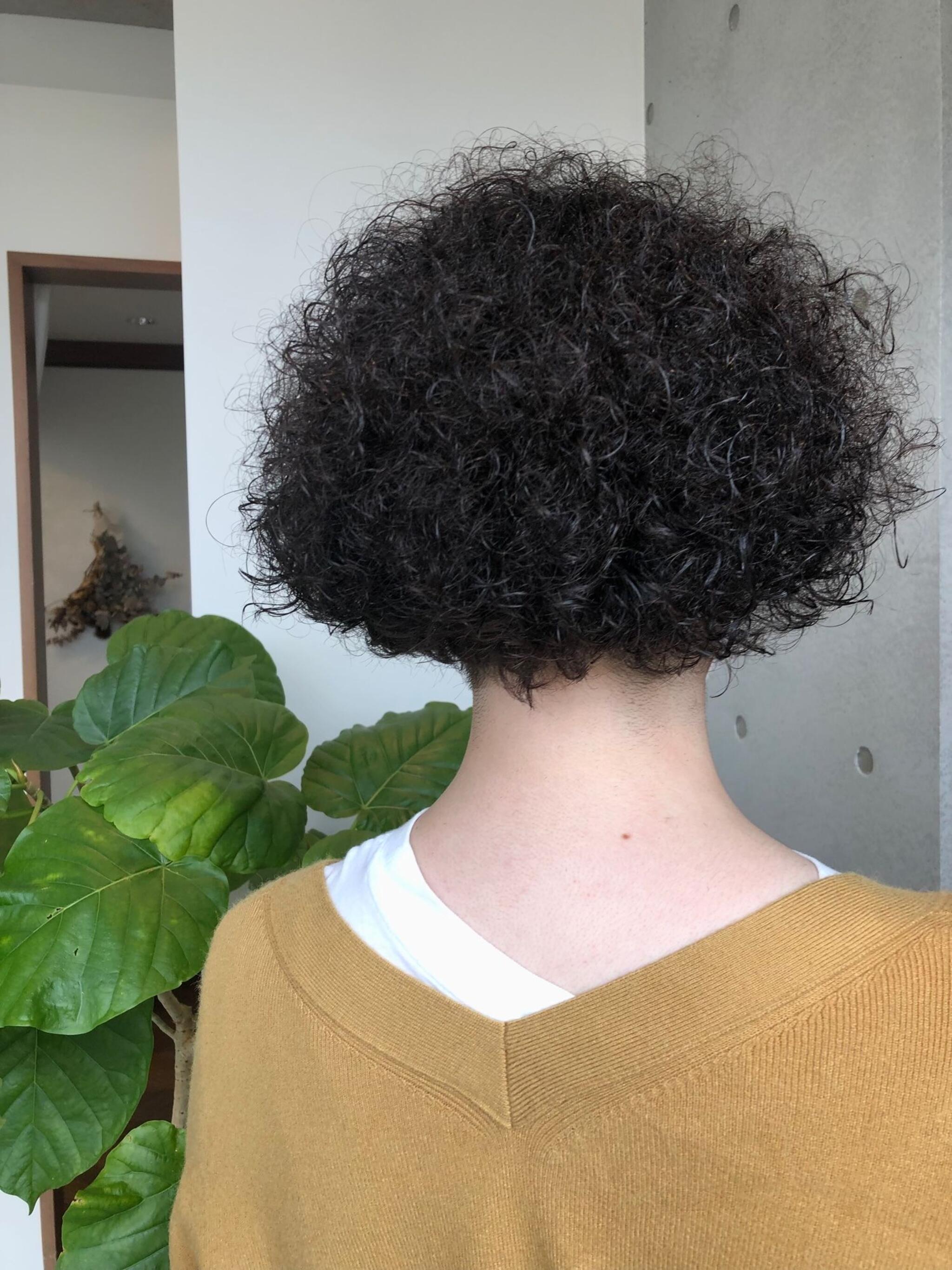 くりくりアフロcut