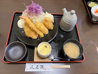 楽天市場】NEWサクサクさきいか天ぷら 500g 36650(冷凍食品 業務