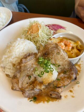 しらす 希少】和歌浦湾の生しらす・600g | 和歌山県海南市 | ふるさと