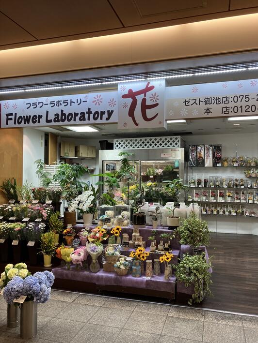 ゼスト御池 京都市役所＋ゼスト御池 | セプログ