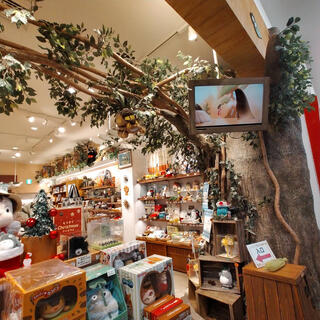 どんぐり共和国 まとめ売り l.jpg