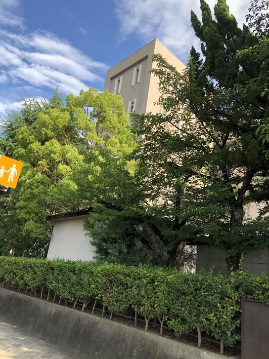 クチコミ : 高松市立亀阜小学校 - 高松市亀岡町/小学校 | Yahoo