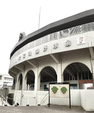 大宮公園(埼玉県)の情報｜ウォーカープラス