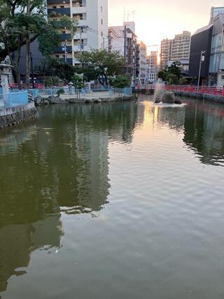 円山公園 ひょうたん池（京都府京都） - 水辺遍路