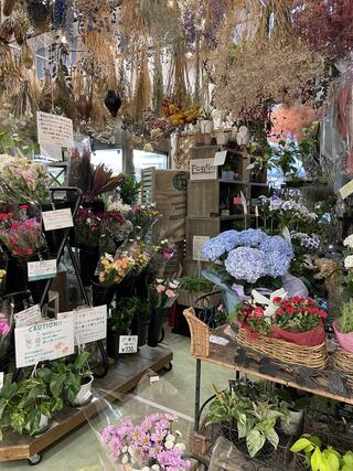 花と緑の店フォリオ ひたちなか店