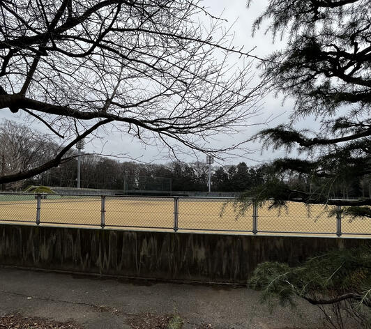 岩場 TeeRex | 岩瀬桜川カントリークラブ