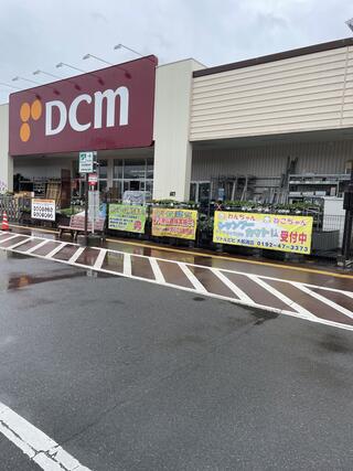 DCM 大船渡店
