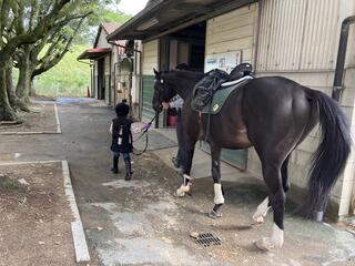 クチコミ : 両備乗馬クラブ・クレイン岡山 - 岡山市東区寺山/乗馬教室 | Yahoo!マップ