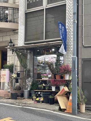 石井花店