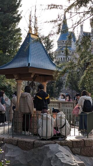 東京ディズニーランド 白雪姫の願いの井戸 - 浦安市舞浜/遊園地 東京ディズニーランド 白雪姫の願いの井戸 - 浦安市舞浜/遊園地