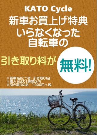 ❤︎chocolate❤︎専用「ホームサイクル　4台　名古屋市市西区北区配送無料 名古屋店舗写真-380x285.jpg