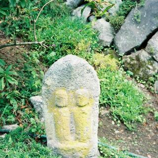 夫婦木神社の写真10