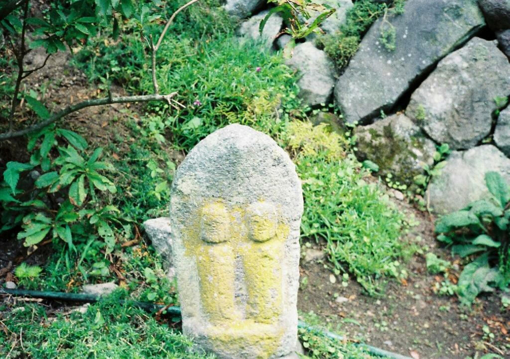 夫婦木神社の代表写真10