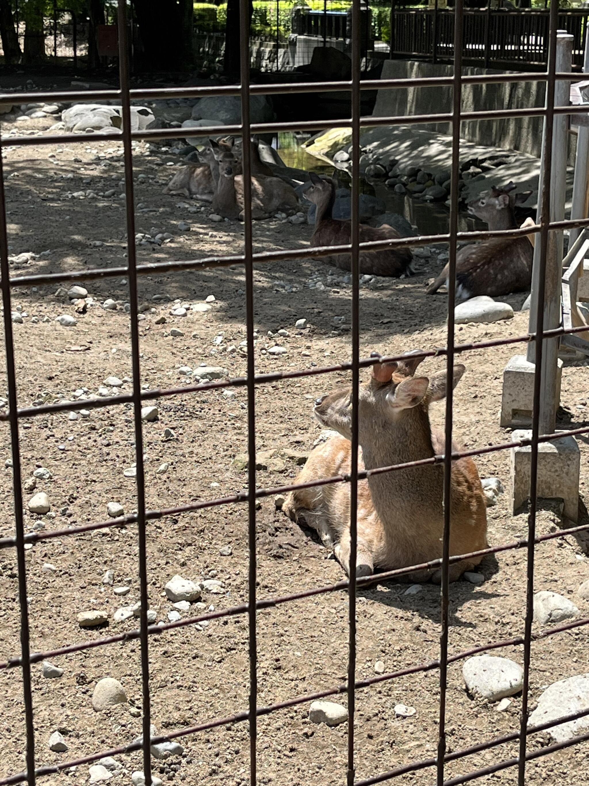 万力公園の代表写真10