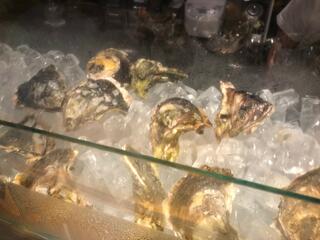FAST OYSTERS 神楽坂店のクチコミ写真1