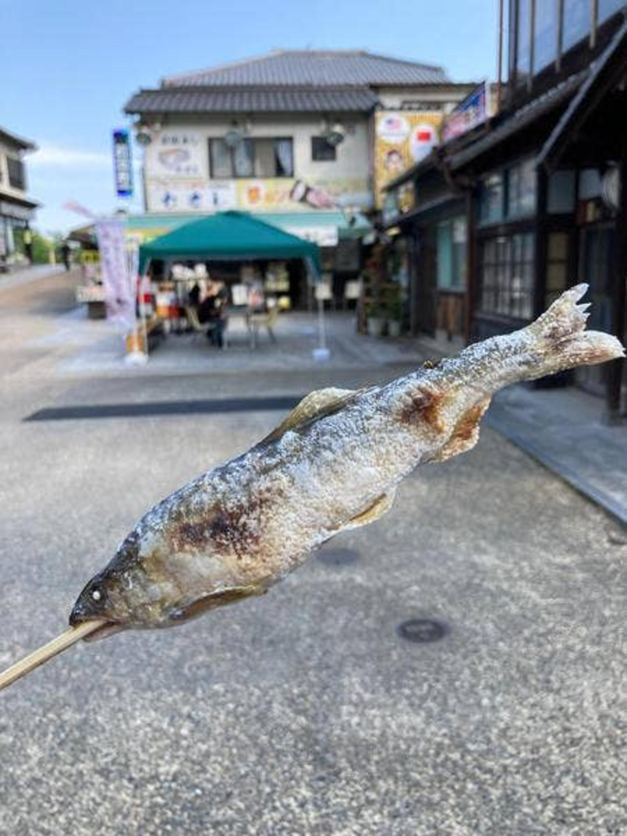 むさしの代表写真10