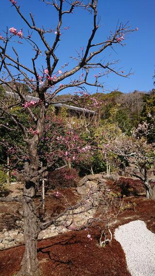 浄妙寺のクチコミ写真3