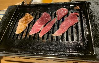 ラム料理 羊肉専門店 辰 TATSUのクチコミ写真1