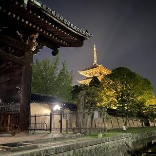 東寺の写真5