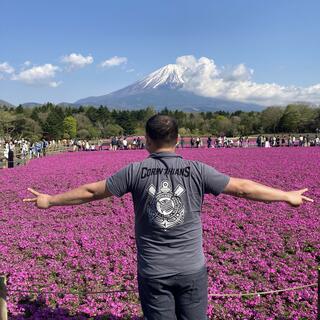 富士芝桜まつり 富士山うまいものフェスタの写真3