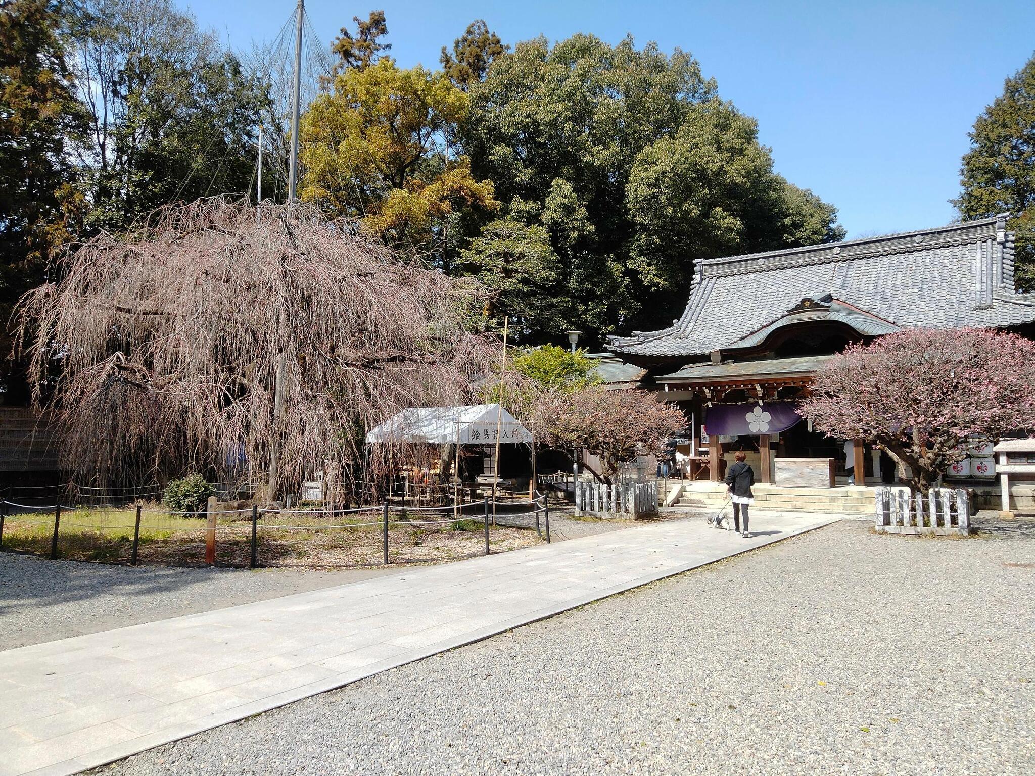 長良天神神社の代表写真10