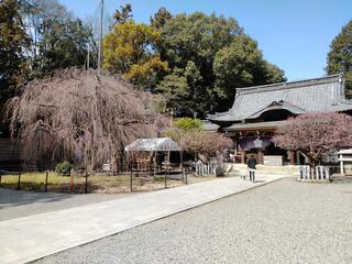 長良天神神社のクチコミ写真2