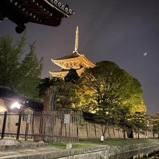 東寺の写真1