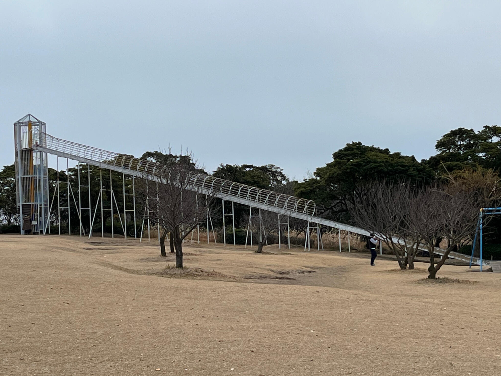 桜島自然恐竜公園の代表写真6
