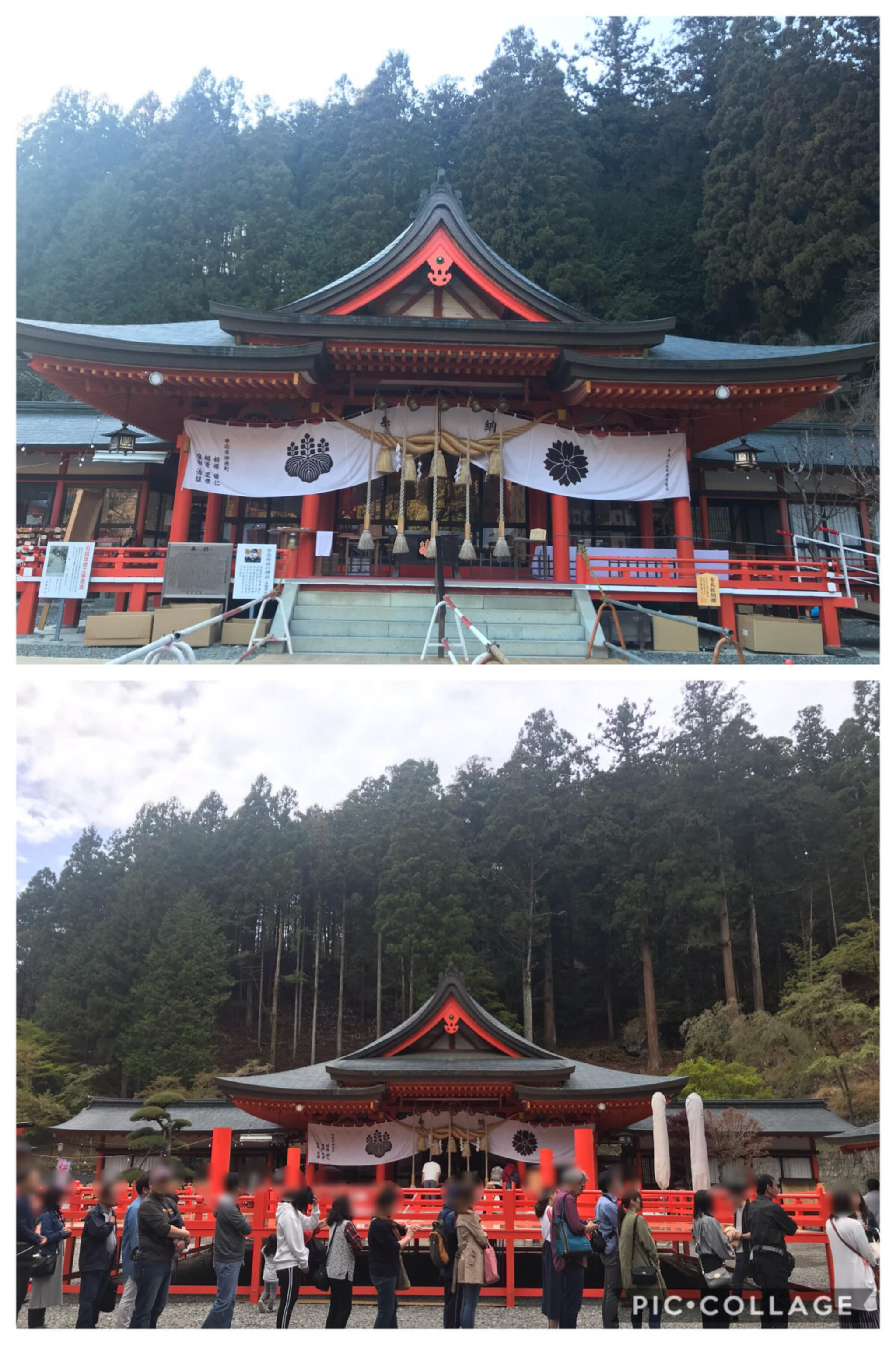 金櫻神社の代表写真7