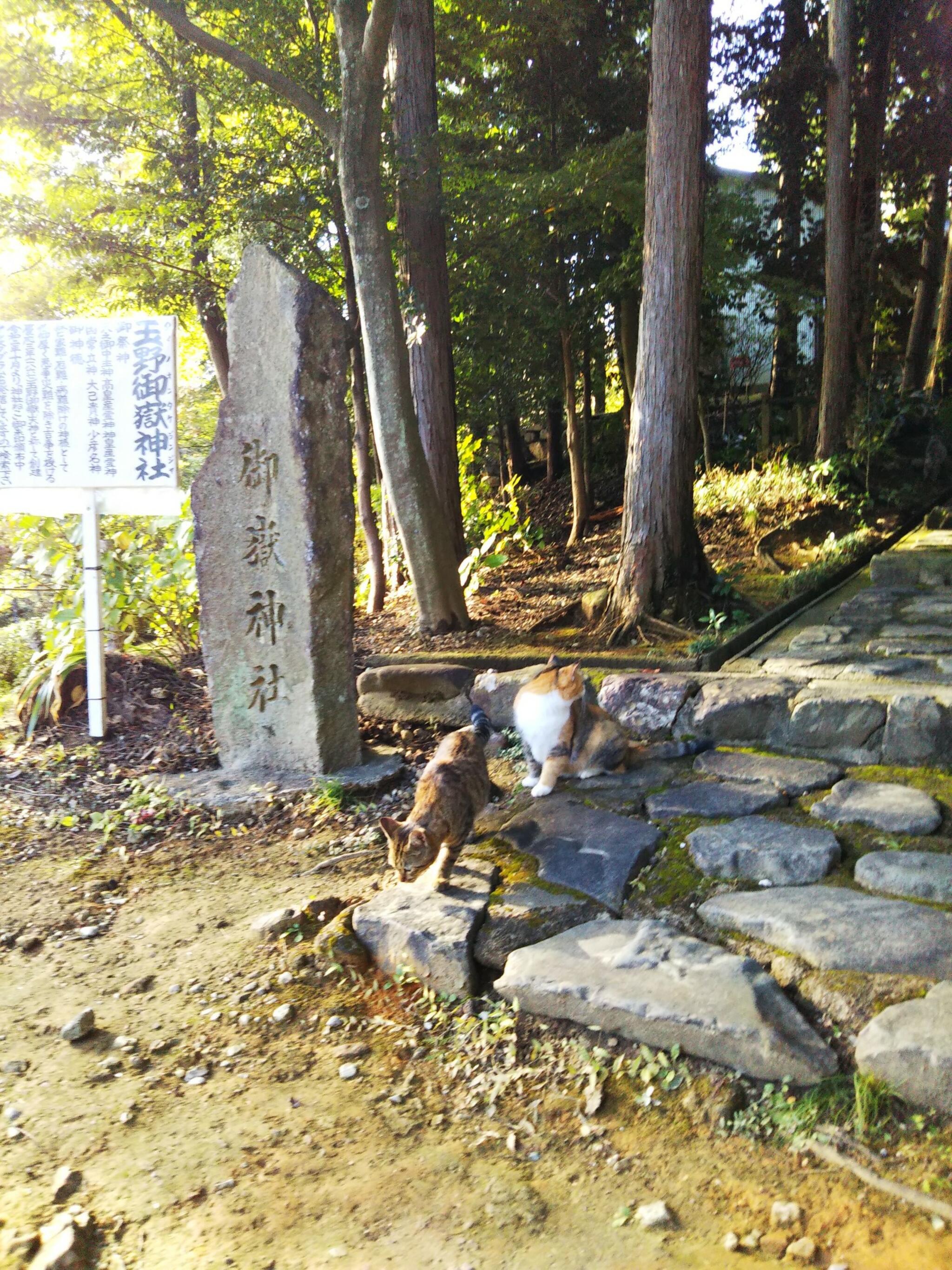 玉野御嶽神社の代表写真9