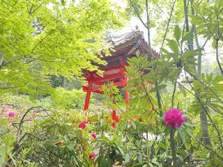 福成寺のクチコミ写真2