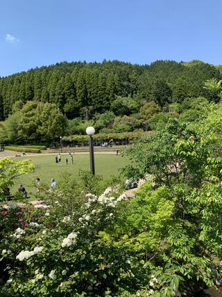 高取山公園のクチコミ写真1