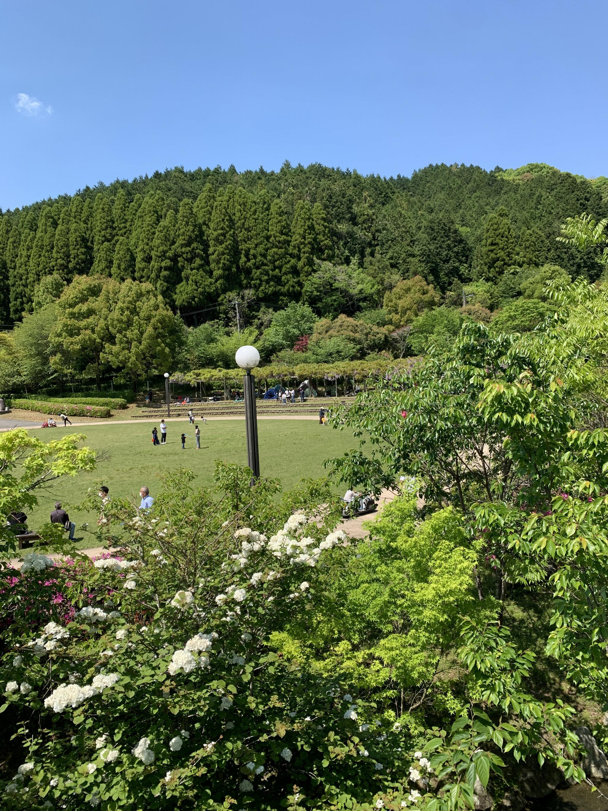 高取山公園の代表写真10