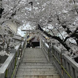 元三島神社の写真6