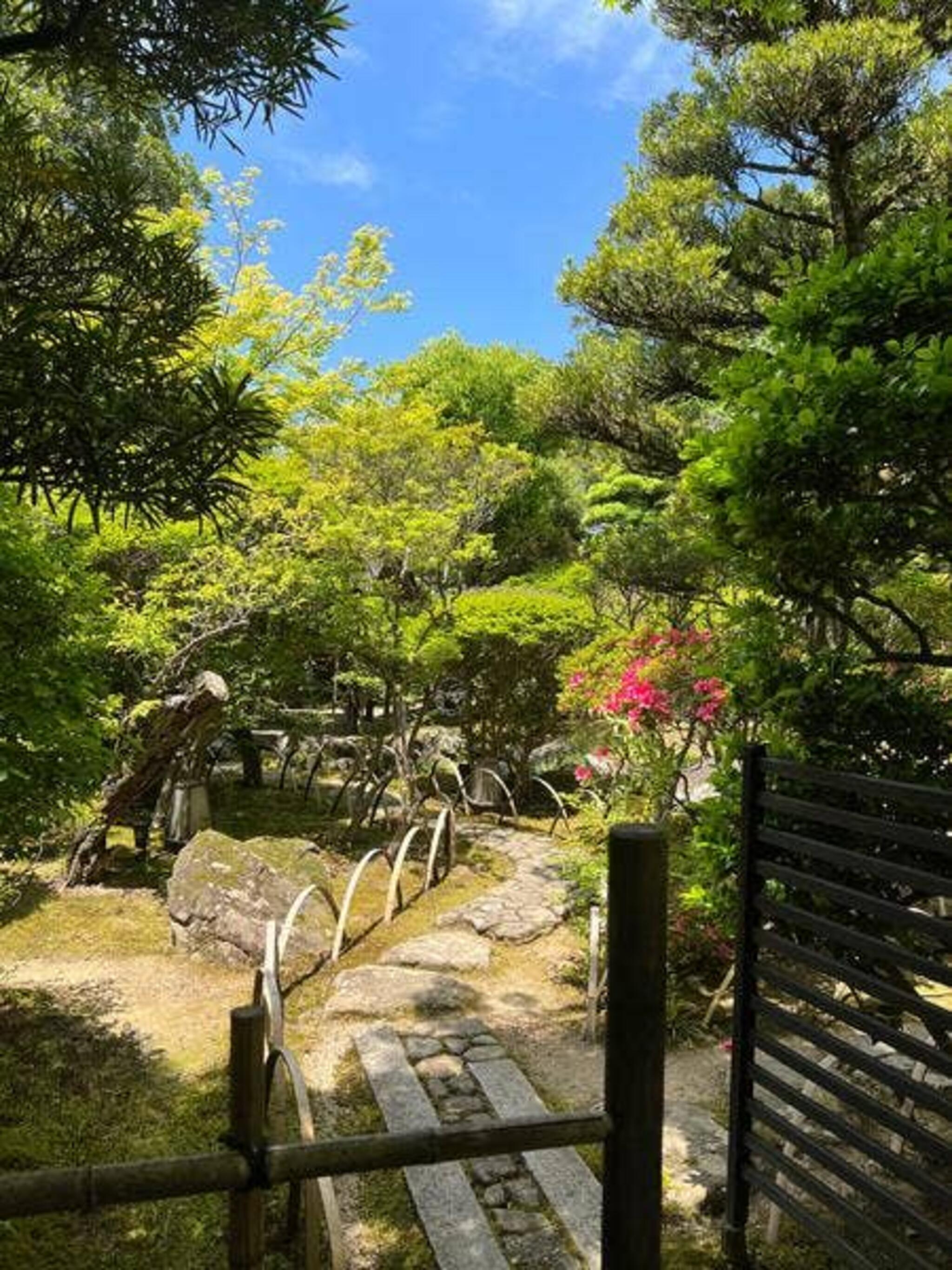 梅の花 太宰府別荘自然庵の代表写真4