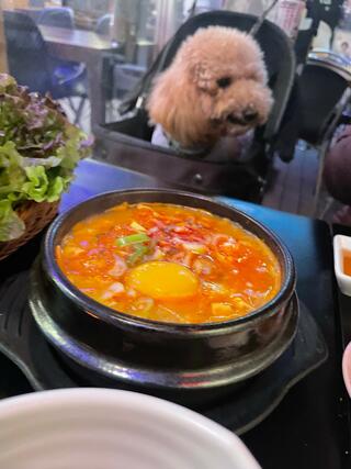 韓国料理 ハンスのクチコミ写真3