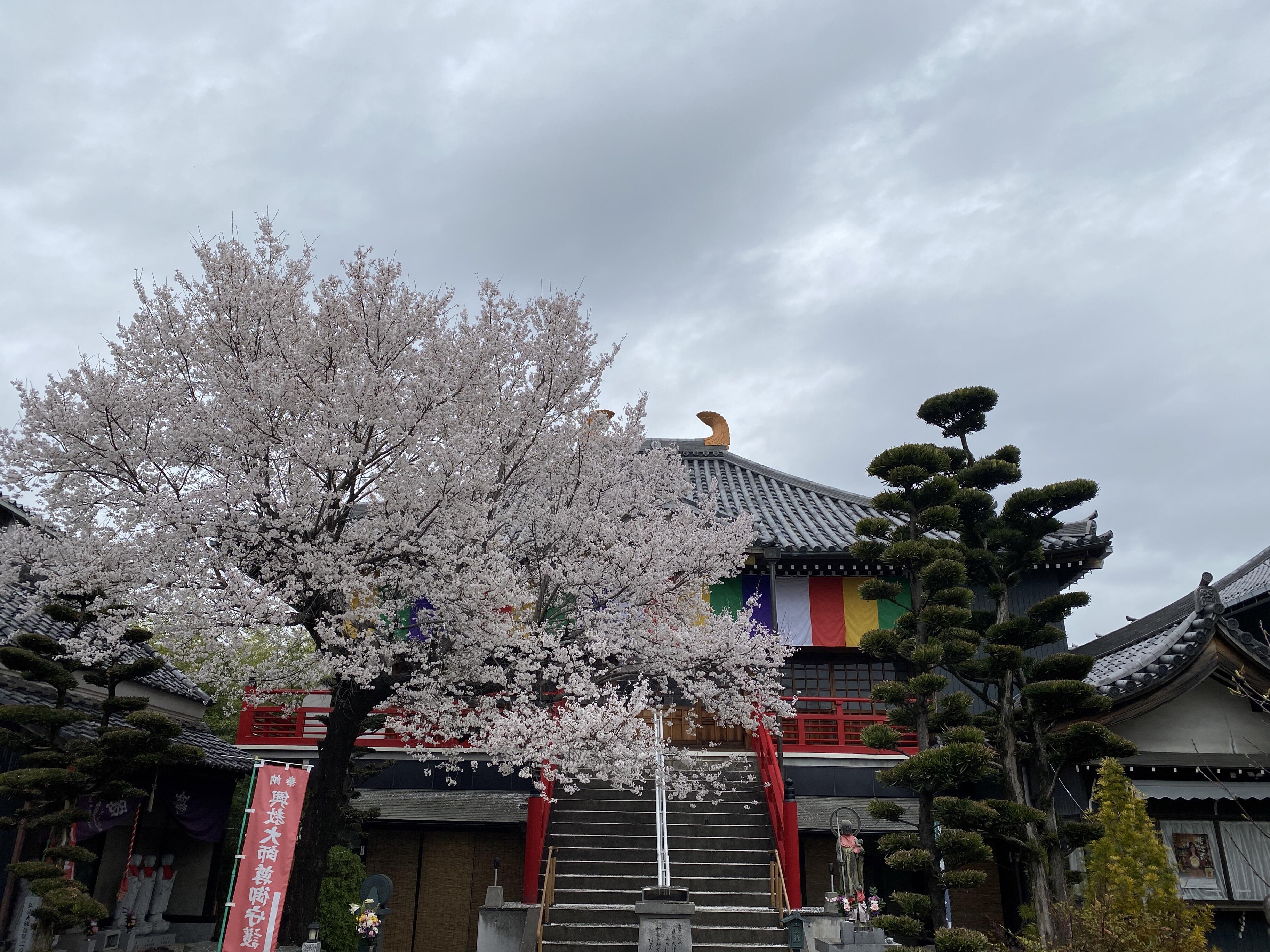 宝珠院 - 名古屋市中川区中郷/寺院 | Yahoo!マップ