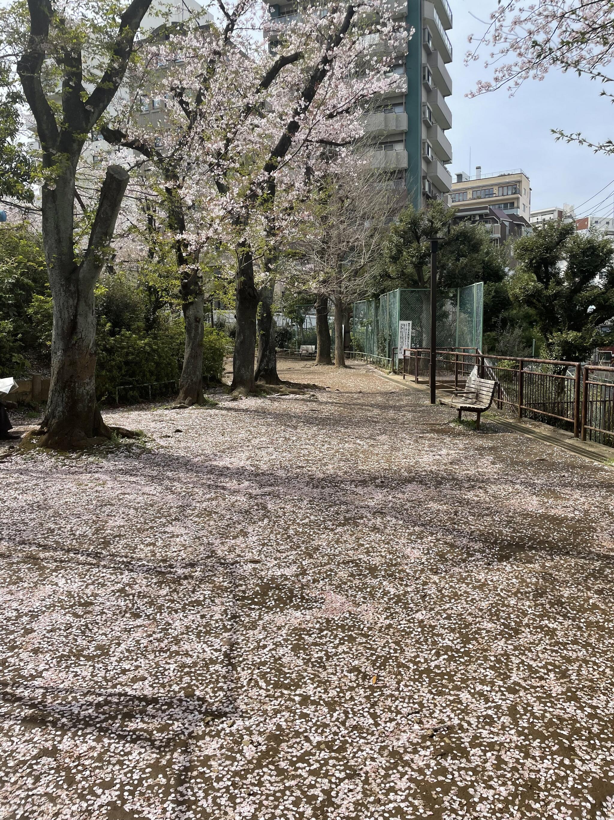 駒込東公園の代表写真4