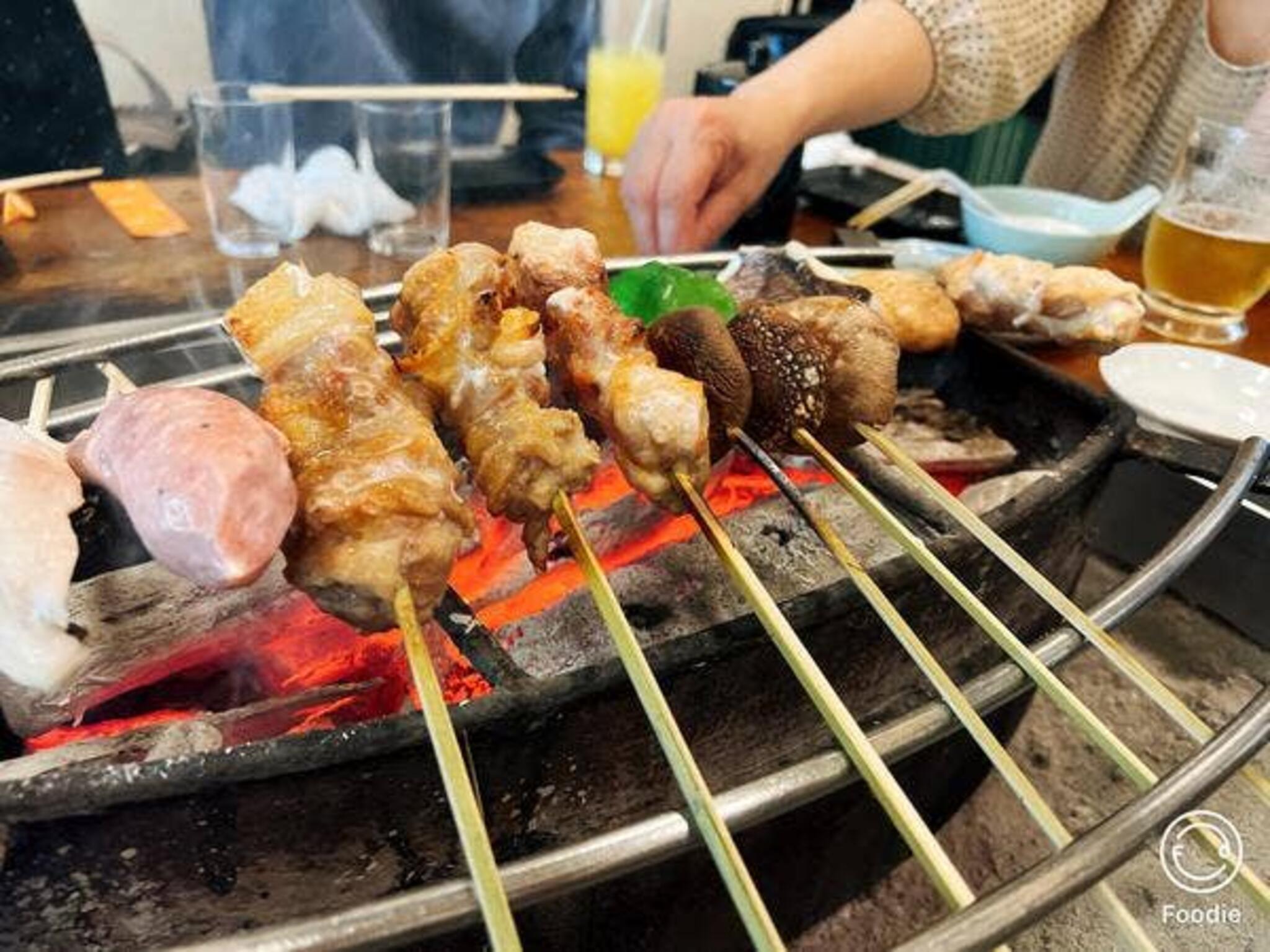 ひな鳥山の代表写真6