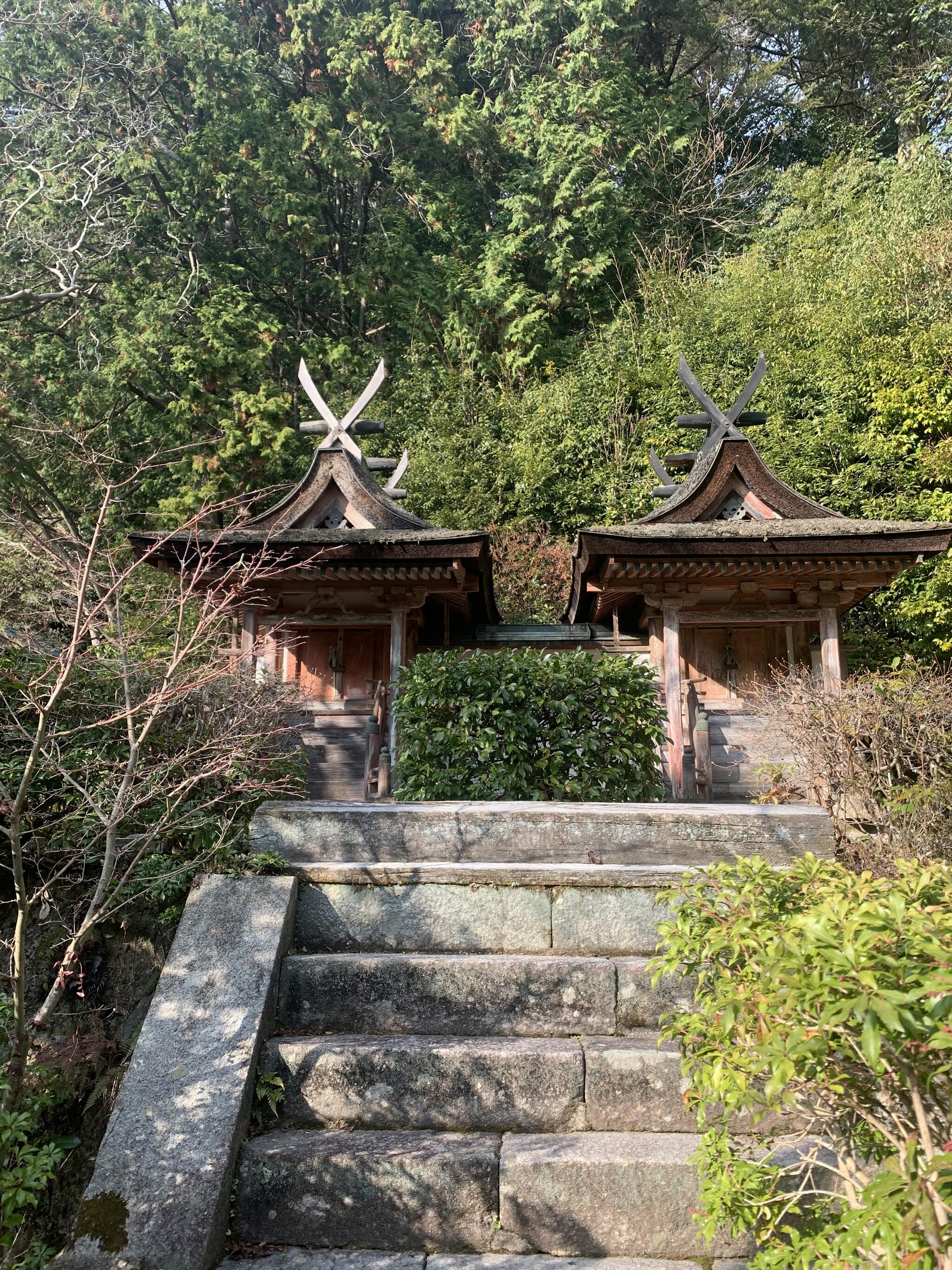 円成寺の代表写真7