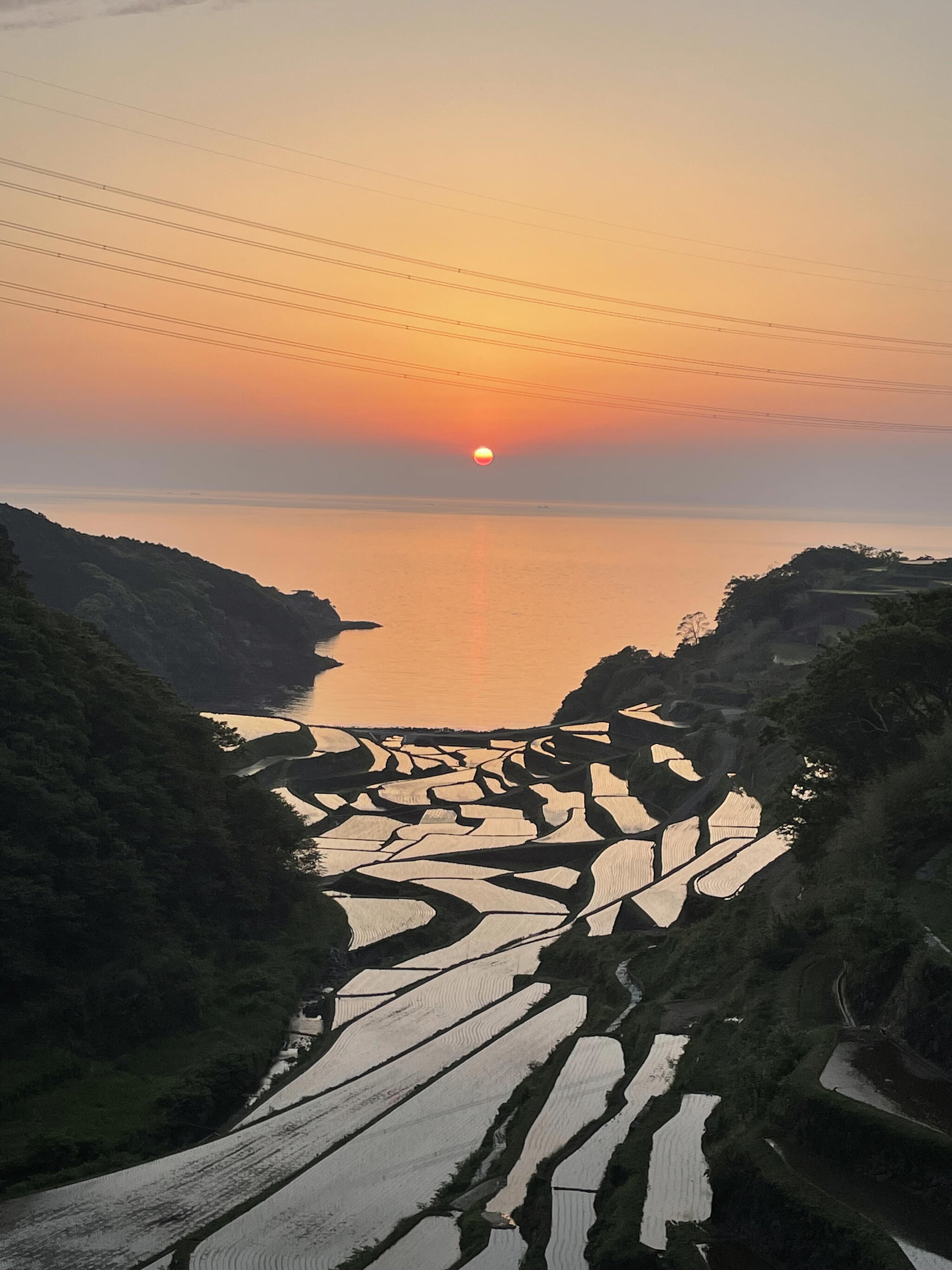 浜野浦の棚田展望台の代表写真3