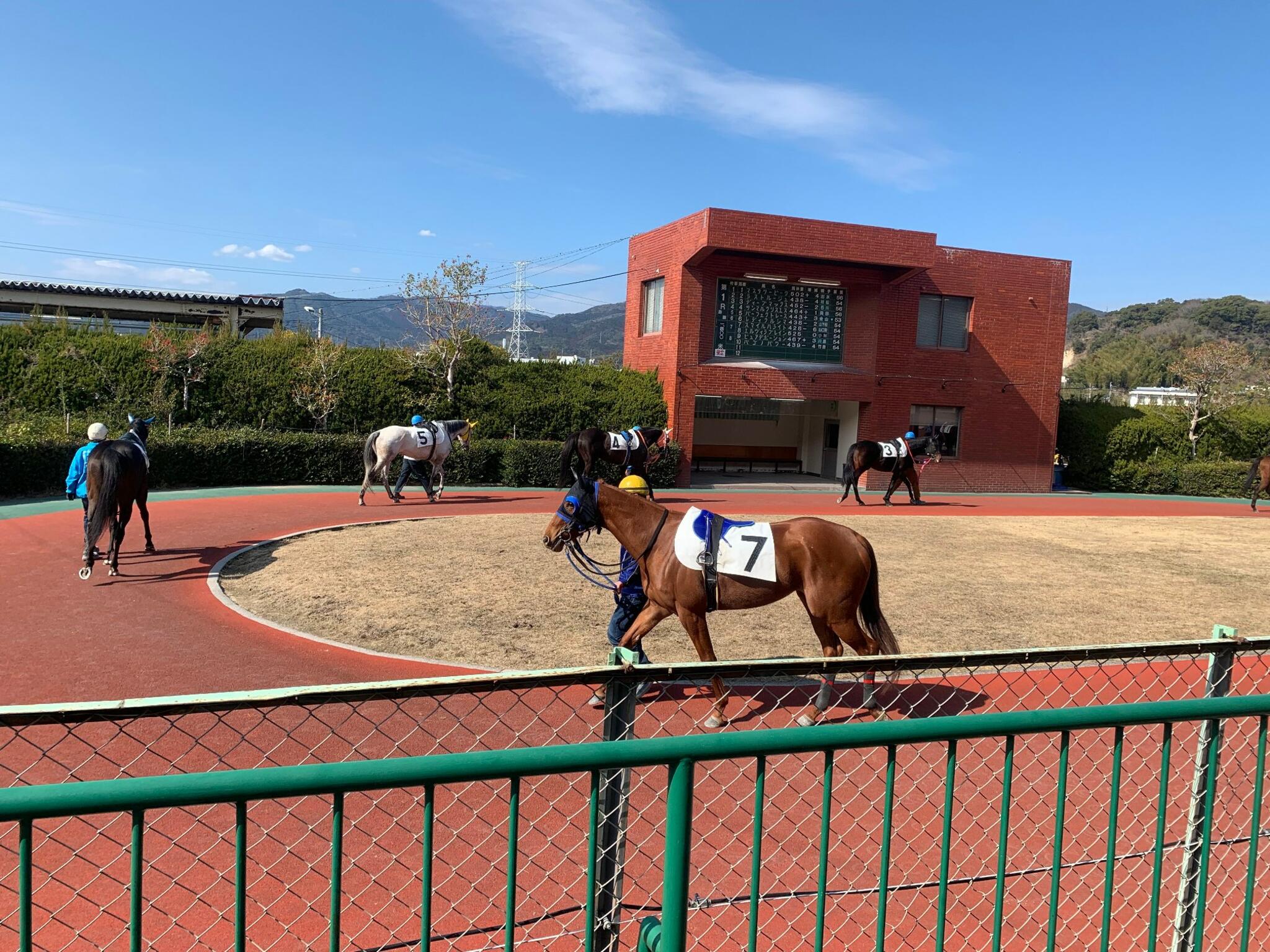 佐賀競馬場の代表写真8