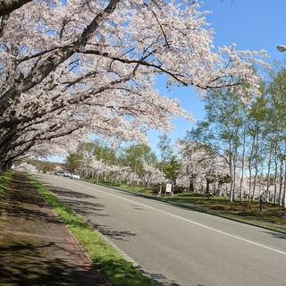 戸田記念墓地公園の写真2