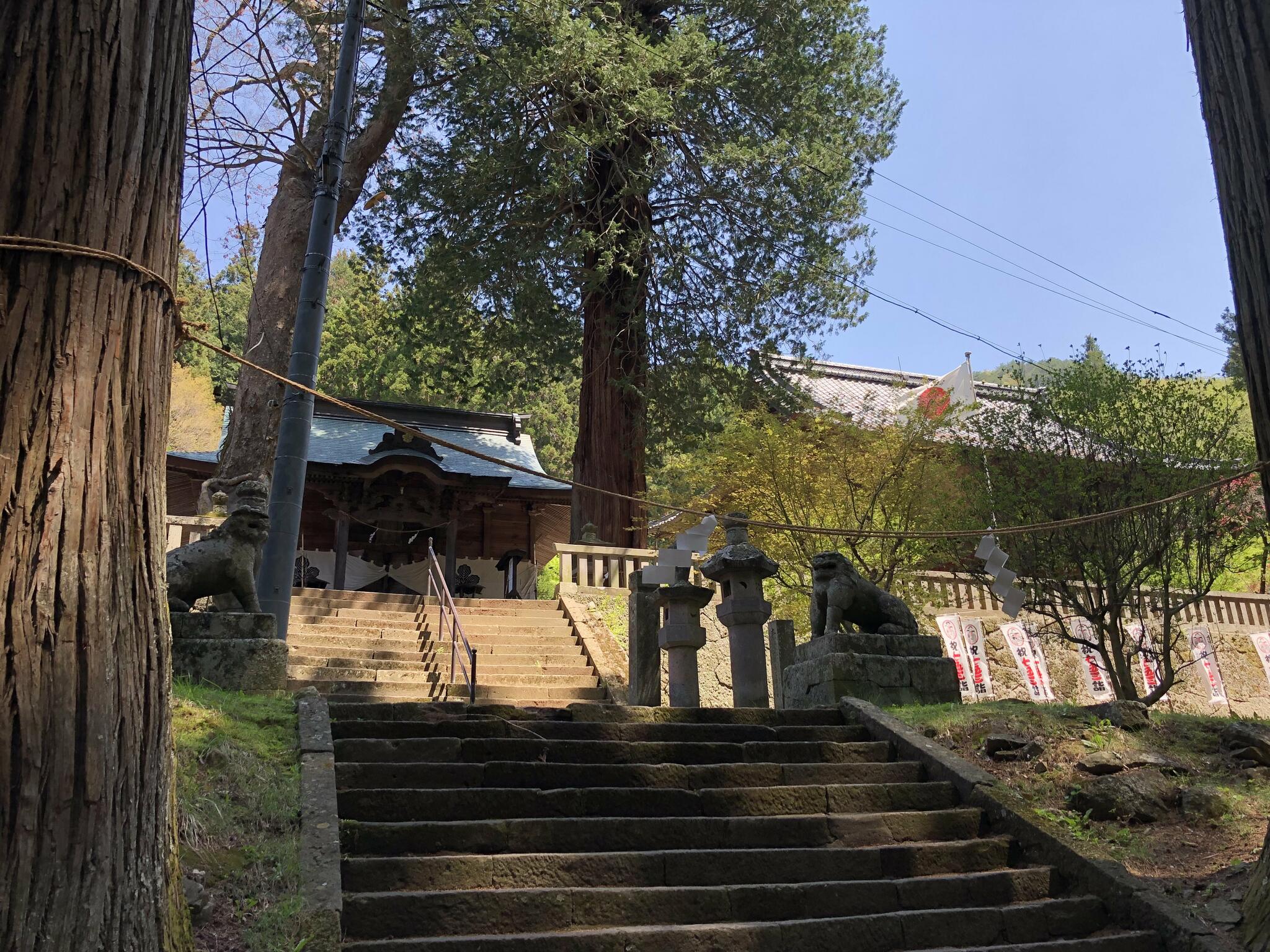 新海三社神社の代表写真8