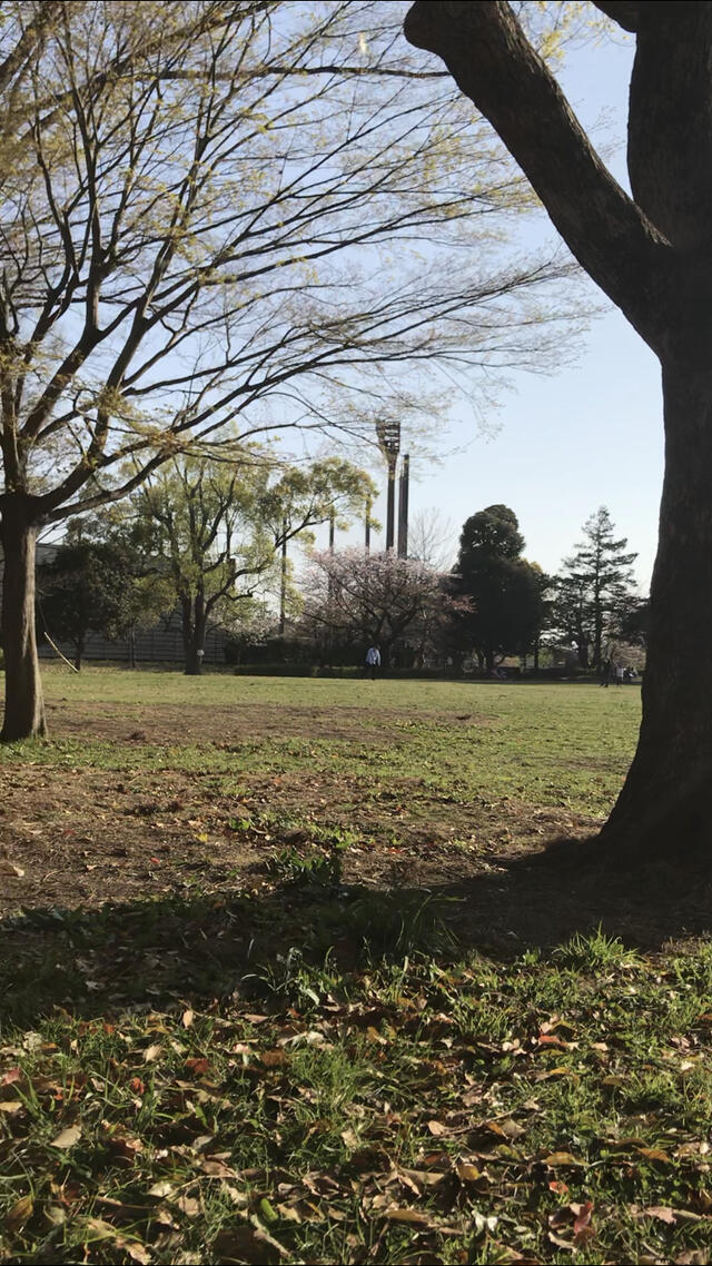 写真 俣野公園 横浜市戸塚区俣野町/公園 Yahoo!マップ