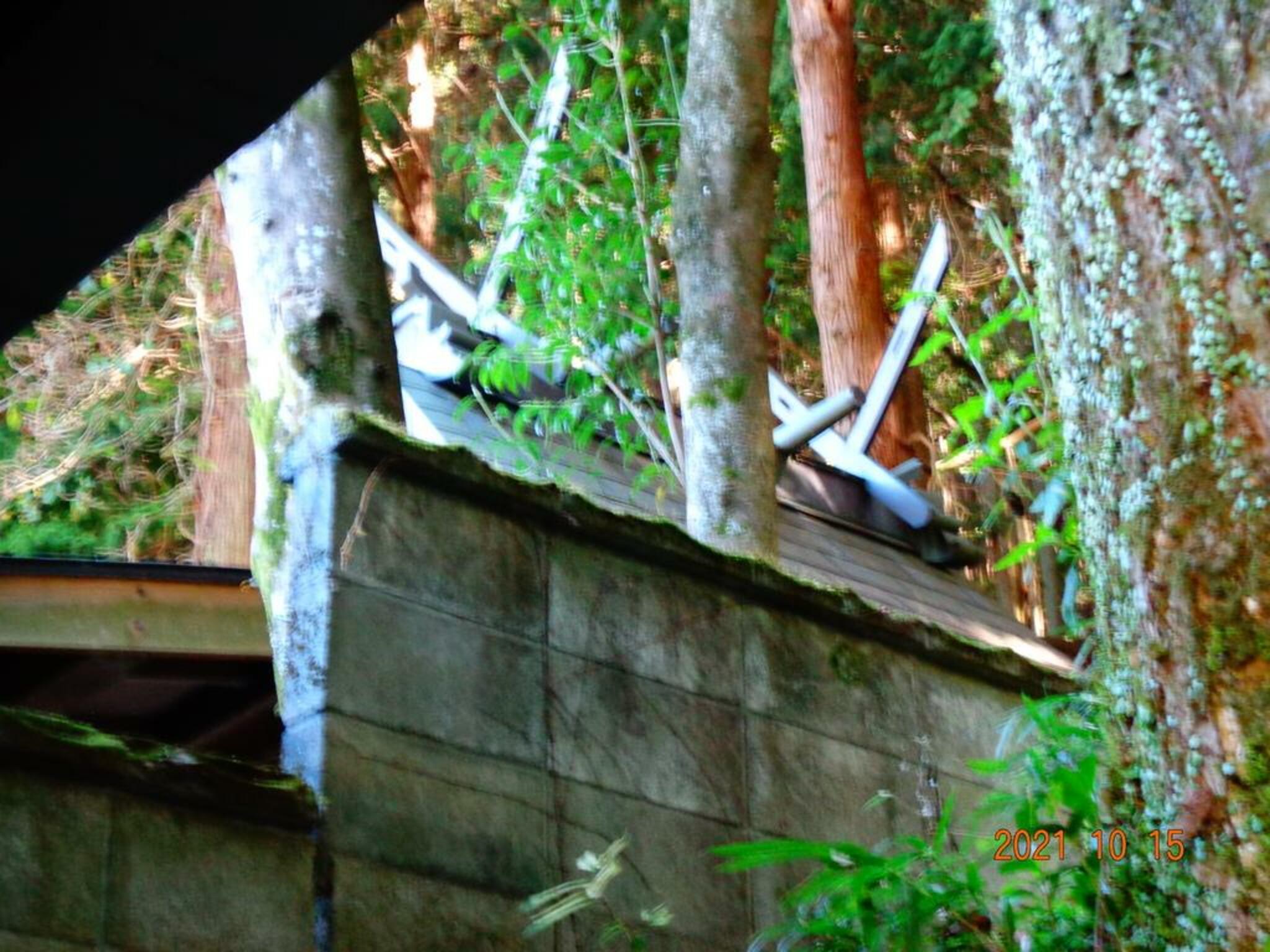 上長瀬國津神社の代表写真6