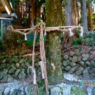 上長瀬國津神社の写真5