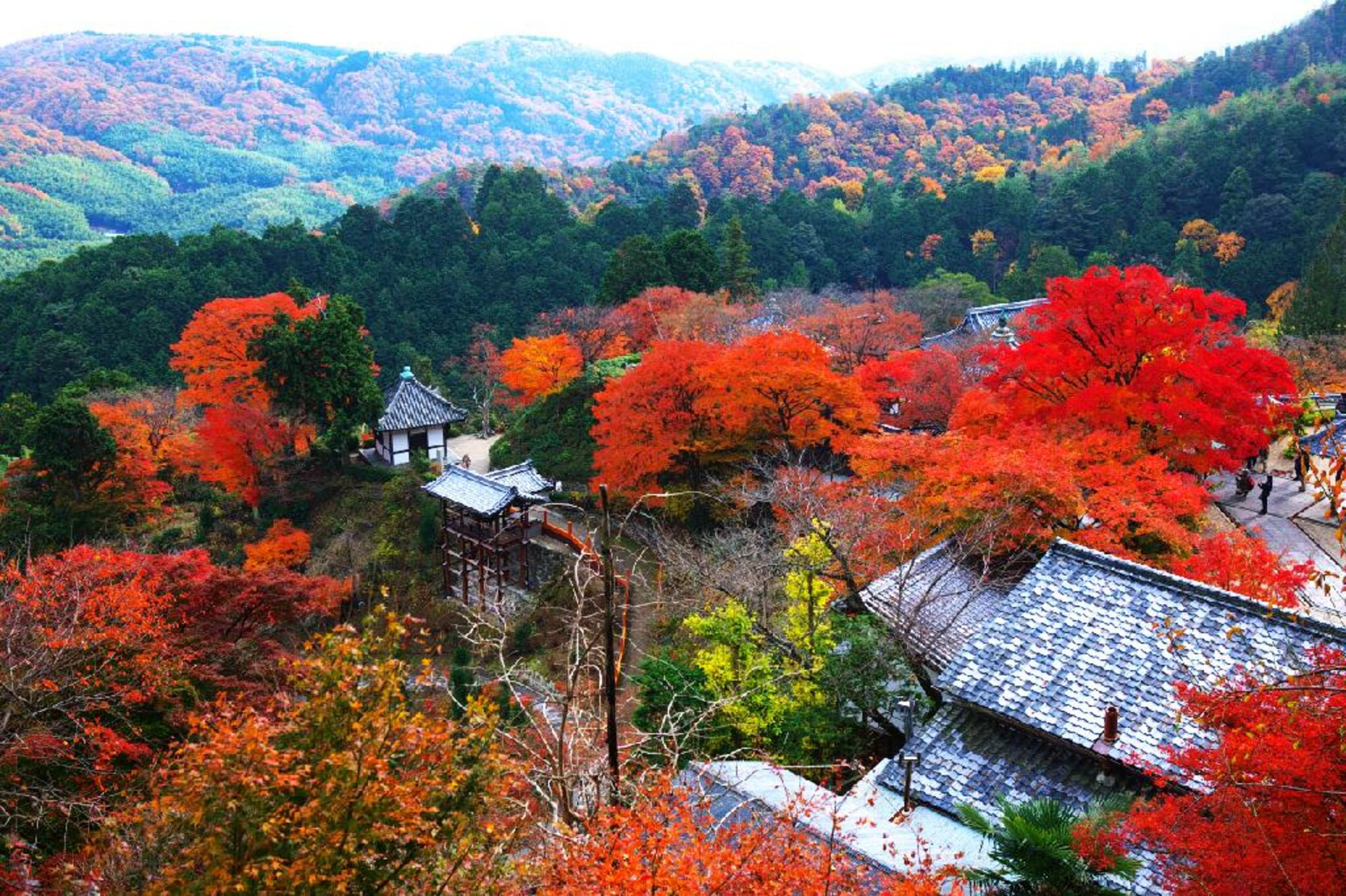 善峯寺の代表写真8